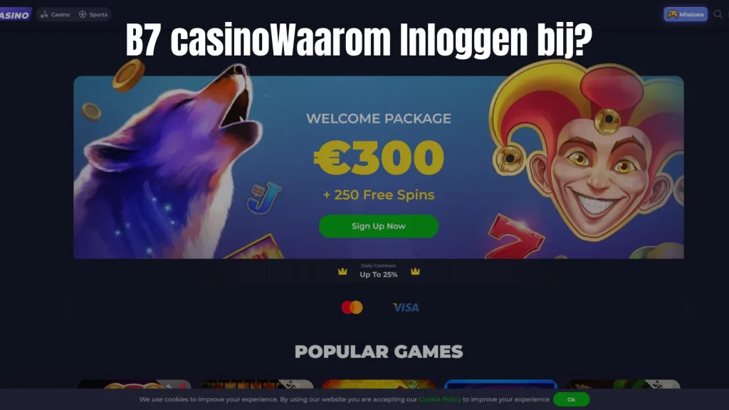 Waarom Inloggen bij?